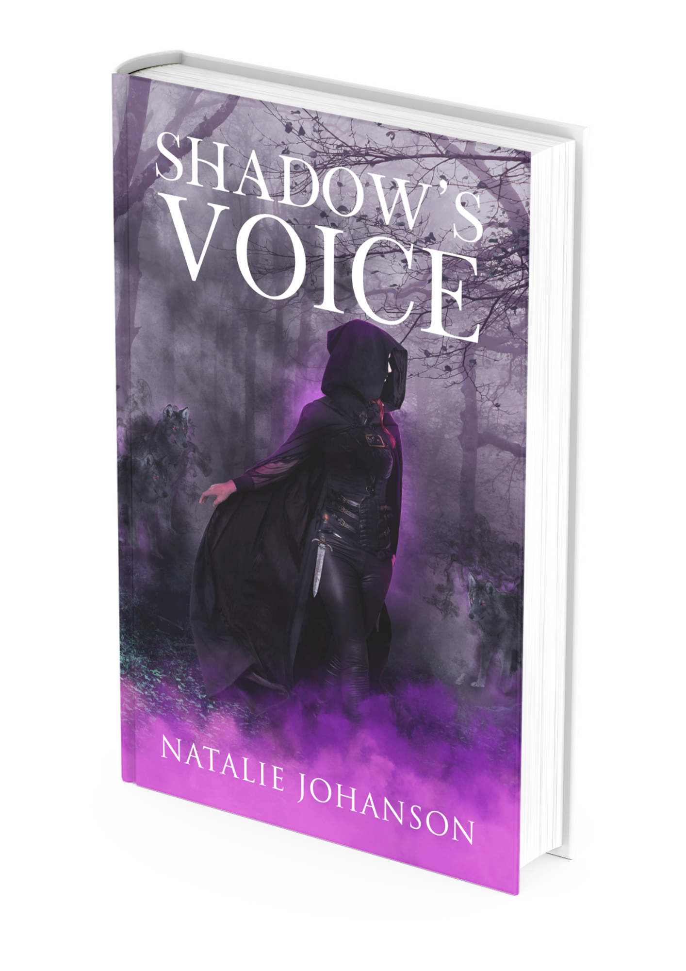 Shadow’s Voice (Shadowstalker Series Book 1)